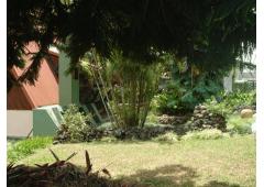 MOUNTAIN CABIN FOR SALE