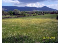 Land in eco friendly environment