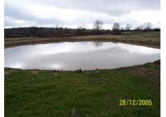 Land in eco friendly environment