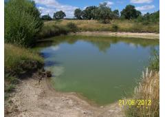 Land in eco friendly environment