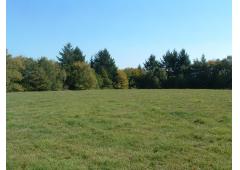 17 acre domestic building plot