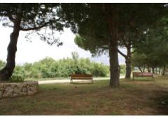 URBAN PLOT FOR SALE IN CAMBRILS (TARRAGONA)