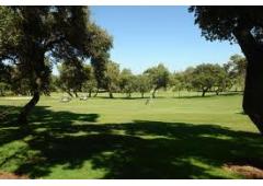 Luxury Apartment right by Valderrama Golf Course