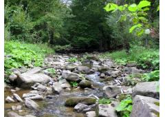 House for Sale near Elena and Veliko Tarnovo, Bulgaria