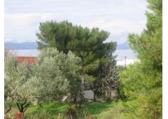 Meet beautiful Aegina