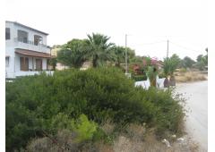Meet beautiful Aegina