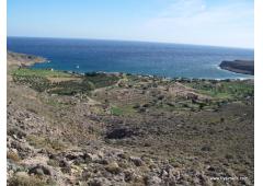 EAST CRETE KATO ZAKROS LAND