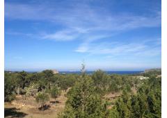 Land with sea views in Ibiza island