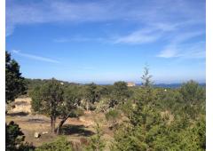 Land with sea views in Ibiza island
