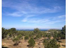 Land with sea views in Ibiza island