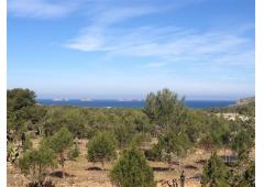 Land with sea views in Ibiza island