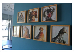 B&B BANDEIRA3ROOMS  OPORTO ; PORTUGAL
