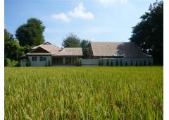 SUBURB NEW RENOVATED HOUSE FOR SALE