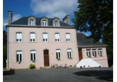 Large family house