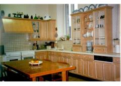 Large family house