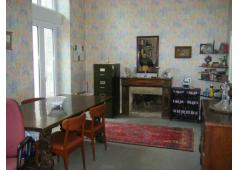 Large family house