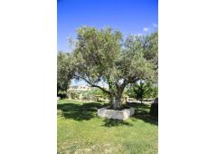 LUXURY VILLA AT RETHYMNON CRETE