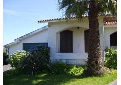 LITLE FARM WITH VILLA – PORTUGAL – ÁGUEDA