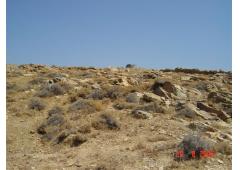LAND FOR SALE IN MYKONOS ISLAND GREECE
