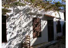 Traditional villa