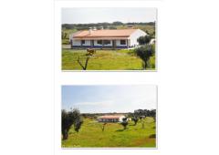 Farm in Portugal / Alentejo *** Great for B&B