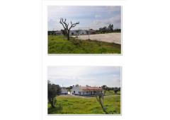 Farm in Portugal / Alentejo *** Great for B&B