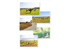 Farm in Portugal / Alentejo *** Great for B&B