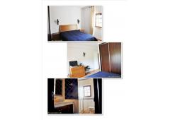 Farm in Portugal / Alentejo *** Great for B&B