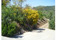 Large Finca with superb location with villa,pool,plus 2nd house