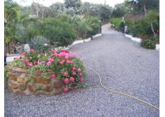 Large Finca with superb location with villa,pool,plus 2nd house