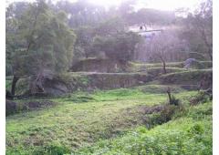 Villa Senhor do Rio Velho in Sintra