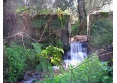 Villa Senhor do Rio Velho in Sintra