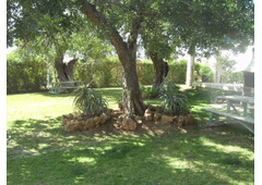 Tavira Garden Holidays