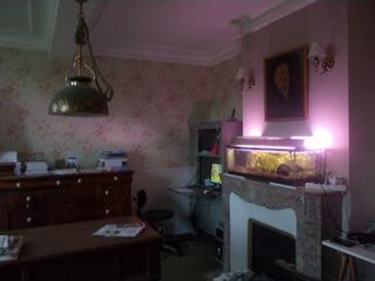 Great Gascony for sale house in vineyards with amazing potential