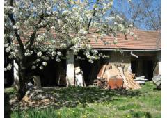 Village House in South Moravia