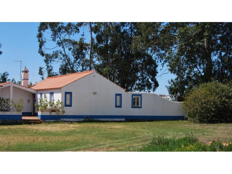 Rent,holidays,House,Portugal,Alentejo,Milfontes,surf,camp,beach,cheap