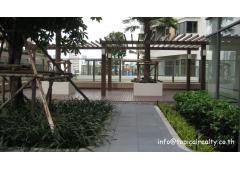 The Bright Condominium Sukhumvit 24  (HOT DEAL-65K)