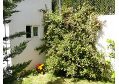 Completely furnished house