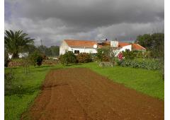 Farm with house and separate guesthouse