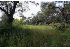 Land - for sale in Corfu, Greece