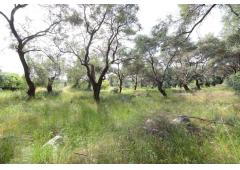 Land - for sale in Corfu, Greece