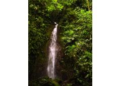 ARENAL VOLCANO - COSTA RICA