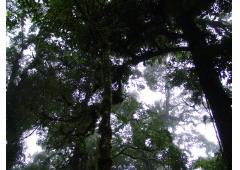 ARENAL VOLCANO - COSTA RICA