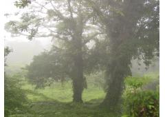 ARENAL VOLCANO - COSTA RICA