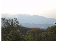 10 HECTARES TITLED