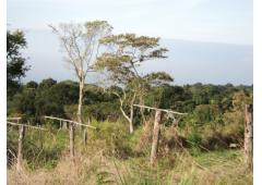 10 HECTARES TITLED