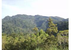 10 HECTARES TITLED