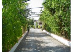 villa +land for sale near granada