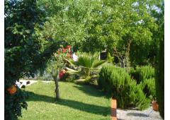 villa +land for sale near granada
