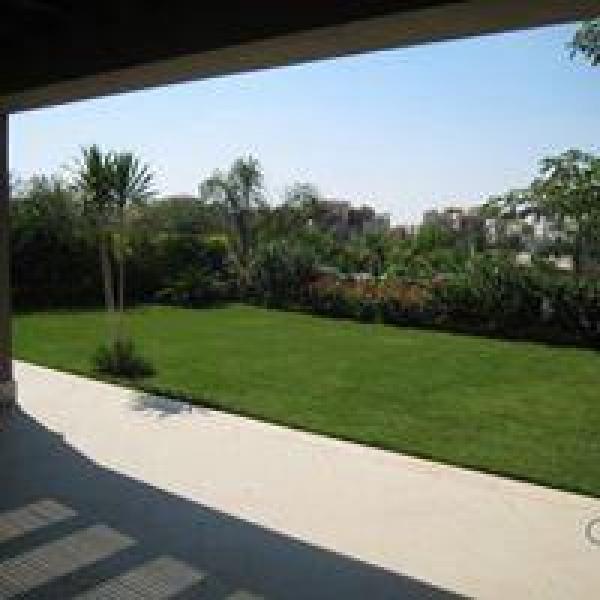 Apartment for rent in compound palm hills 6 October City 6 October City